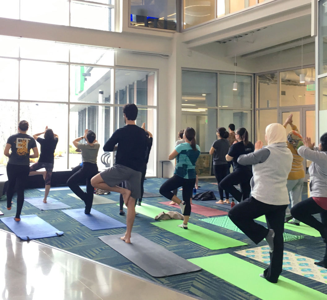 A group of people doing yoga