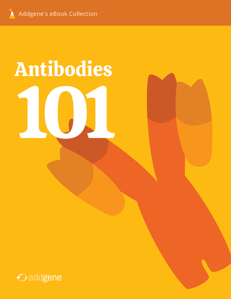 Cover of the Antibodies 101 First Edition eBook