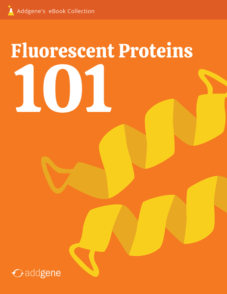Cover of the Fluorescent Proteins 101 First Edition eBook