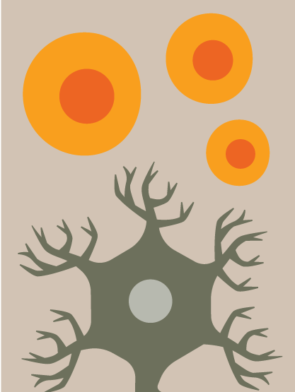 decorative stem cells